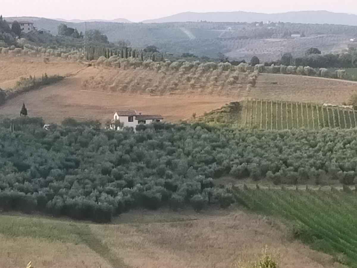 Degli Olivi Nature * Sienne