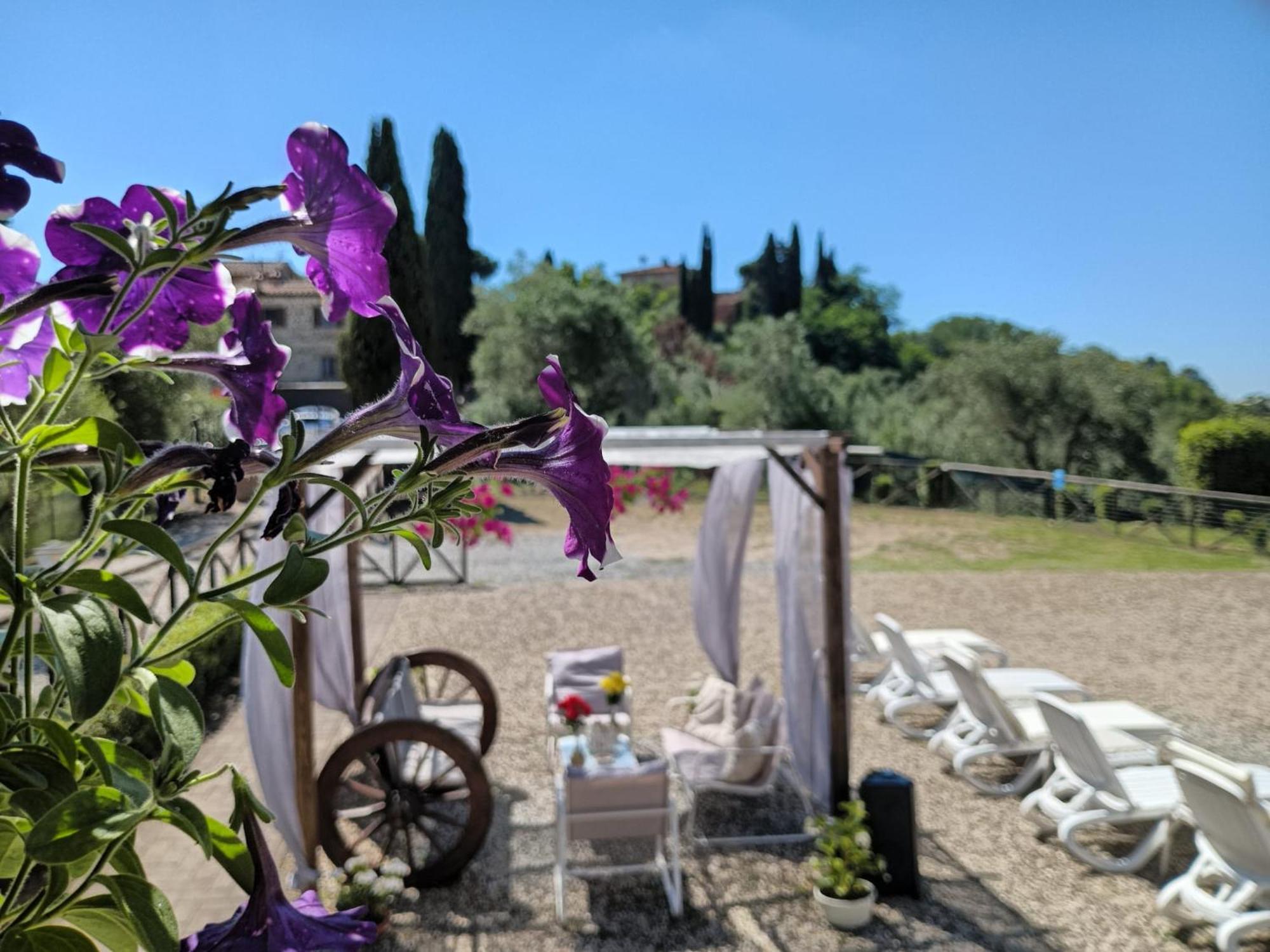 Degli Olivi Nature Villa