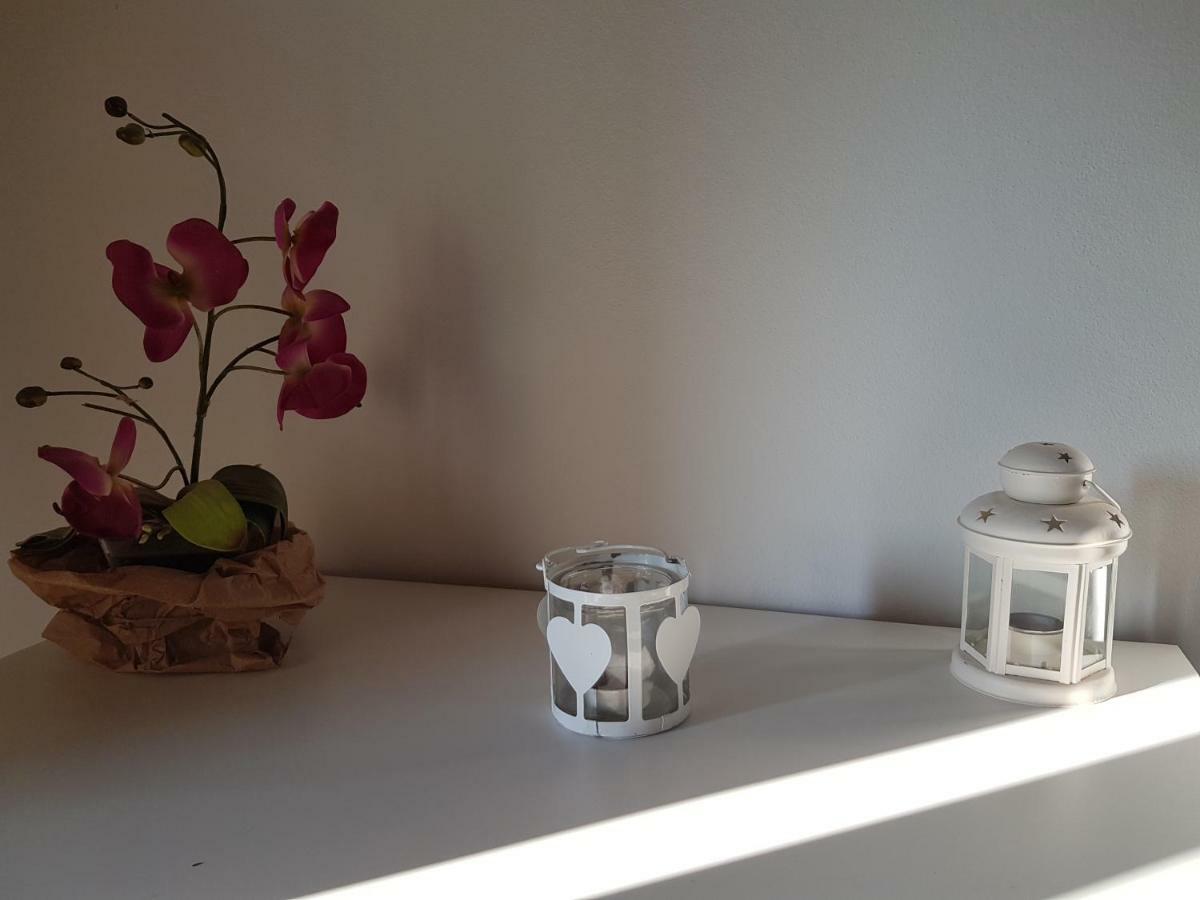 Degli Olivi Nature Sienne
